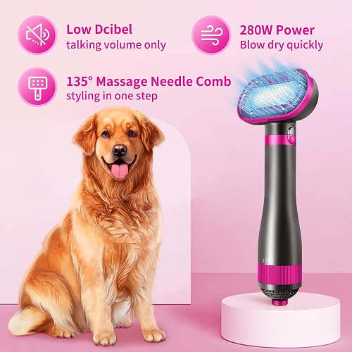2 In 1 Pet Hair Dryer Blower Slicker Brush