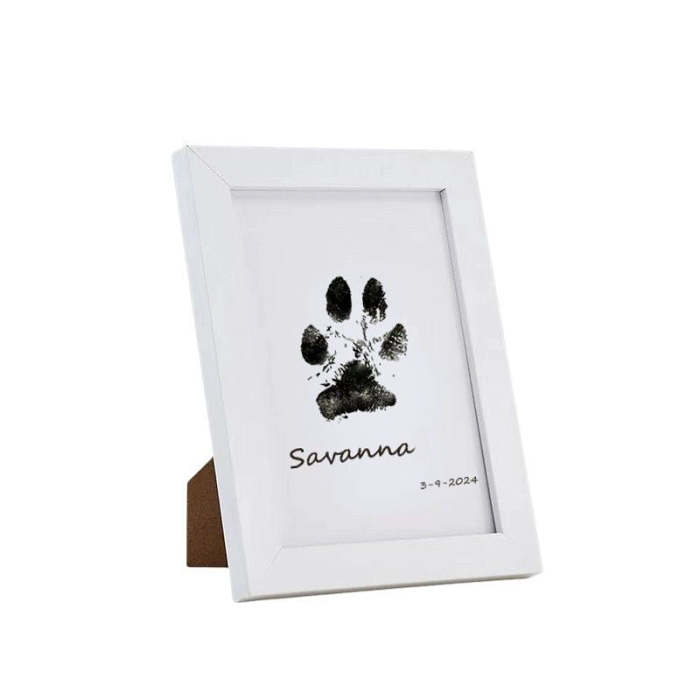 Pet Paw Printing Kit