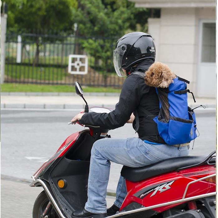 Motorcycle Dog Carrier - Large Dog Backpack