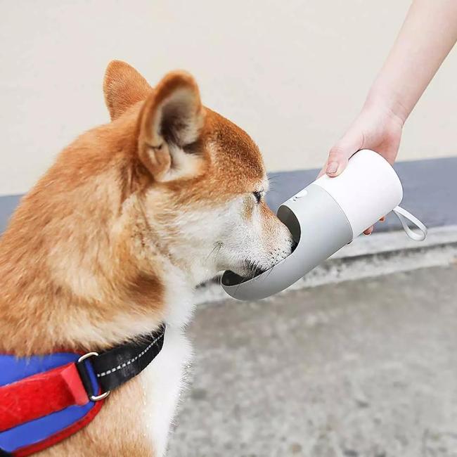 Pet Water Bottle