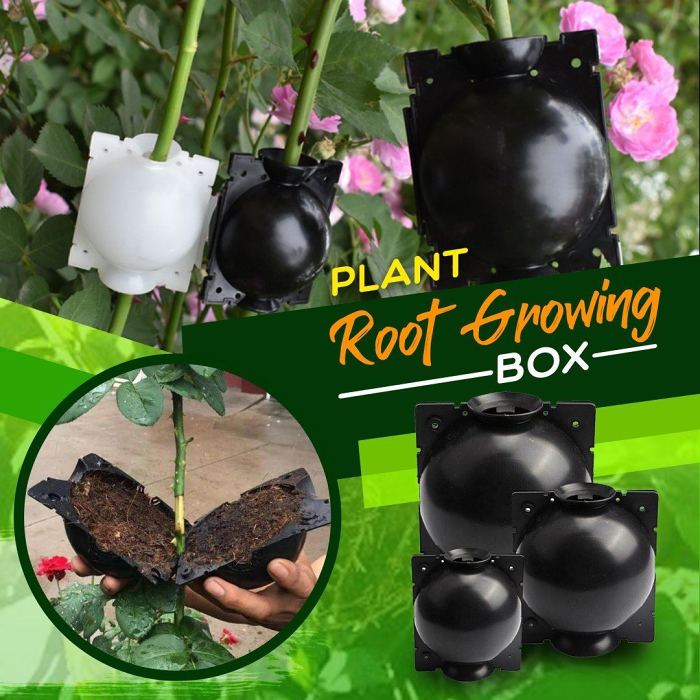 Plant Root Growing Box