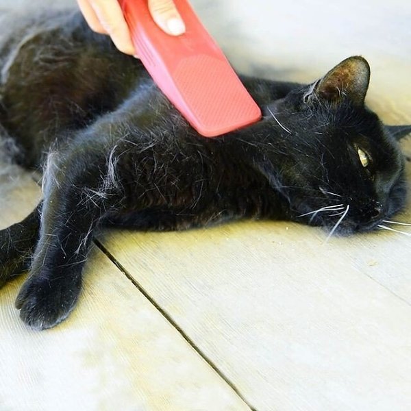 Hair Removal Grooming Massage Brush - For Sensitive Cats and Dogs