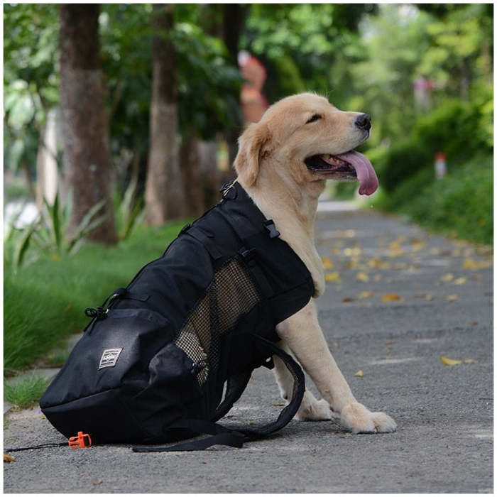 Motorcycle Dog Carrier - Large Dog Backpack