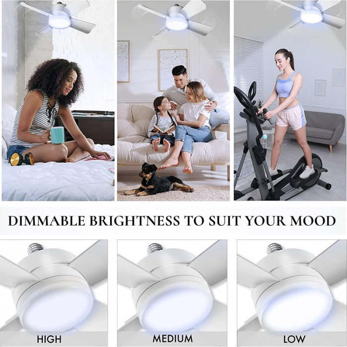 Adjustable LED Fan Light with Remote.