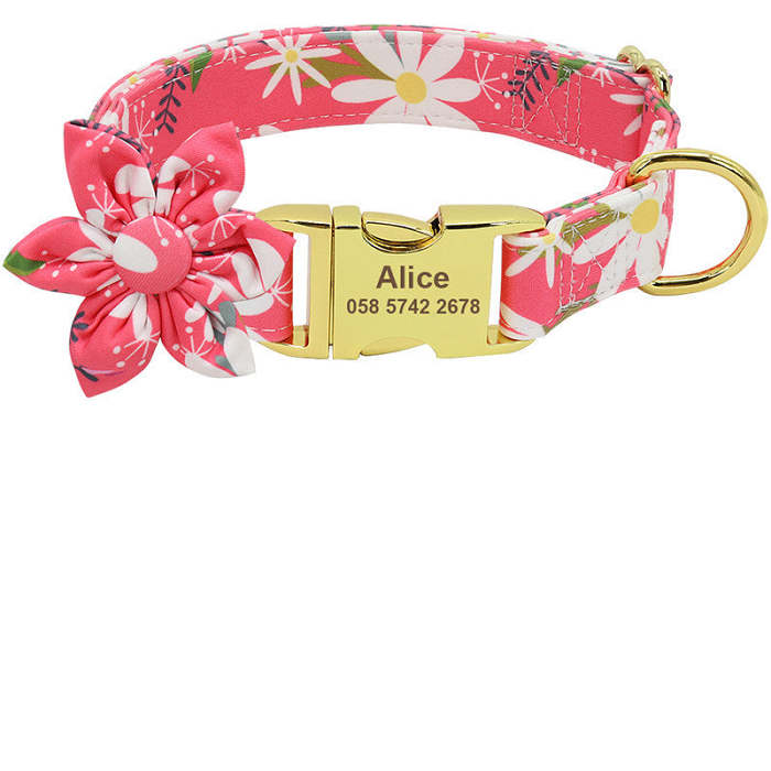 Personalized fashion dog collars.