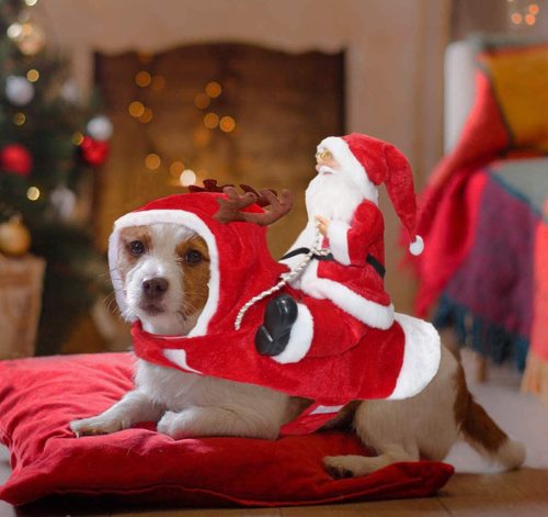 Santa Claus Pet Dog Costume