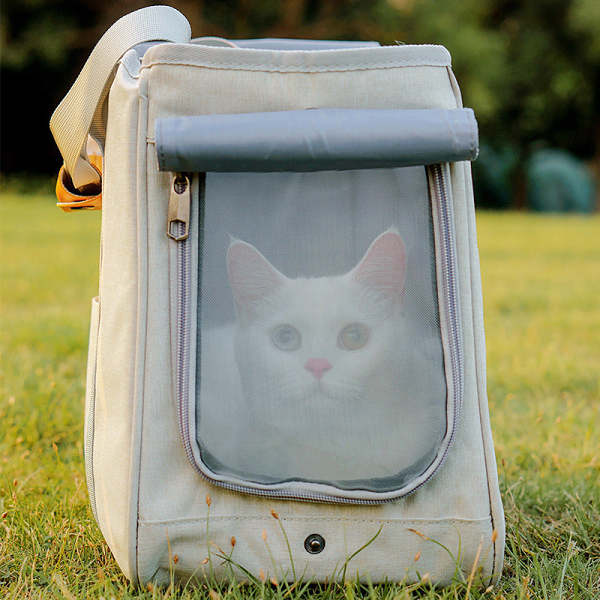Walk Pet Carrier Tote Bag