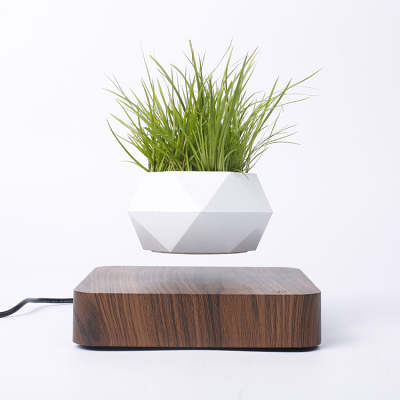 Magnetic Floating Levitating Plant Pot for Plants with Oak Wood Base