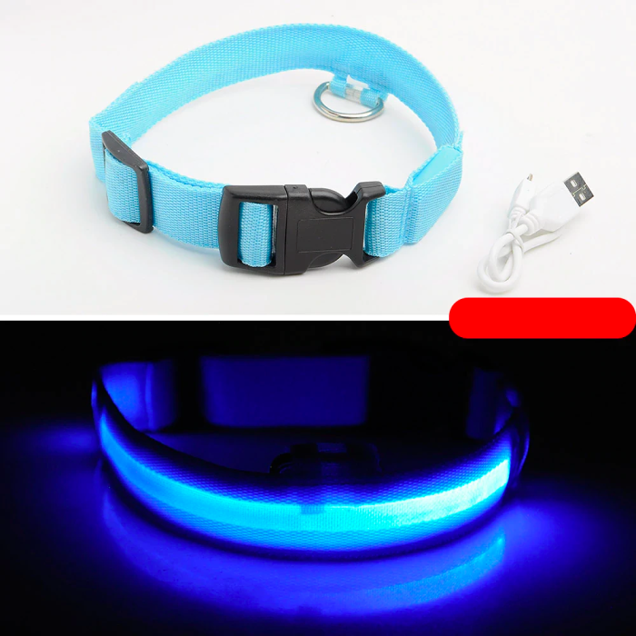 Ziggy LED Dog Collar - USB Rechargeable - Glow In Dark