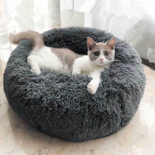 Calming Pet Bed