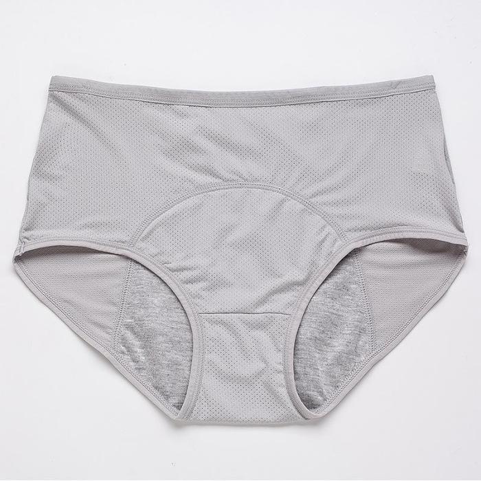 Leak Proof Protective Panties