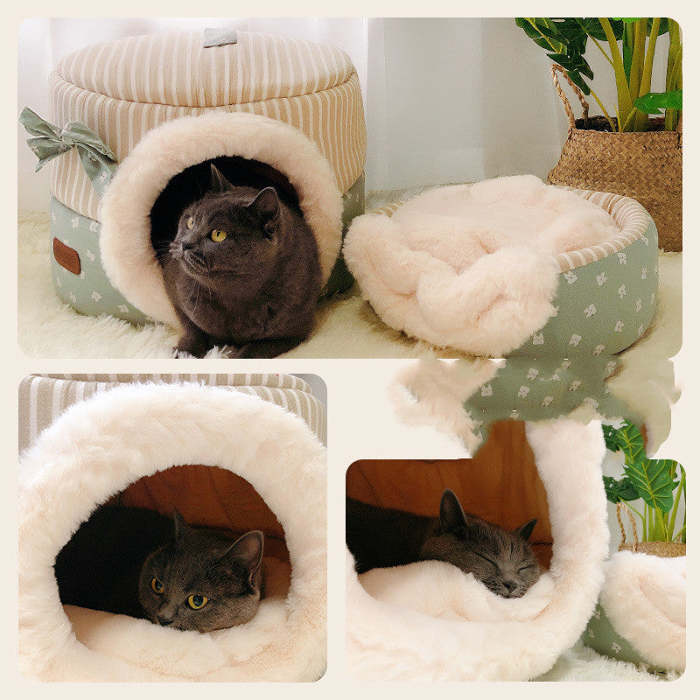 Cat litter
