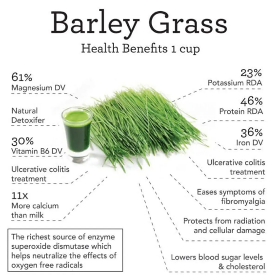 Barley Grass Powder 100% Pure & Organic