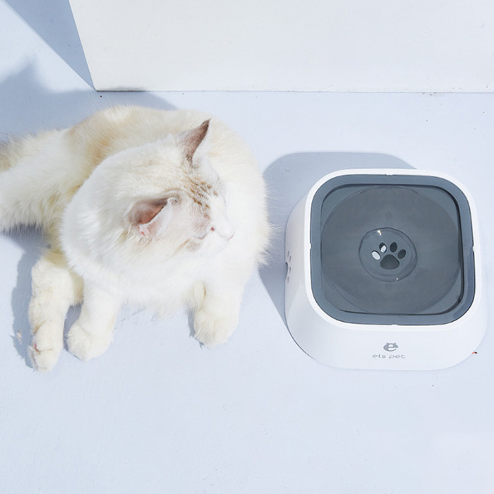 Pet Splash Water Bowl