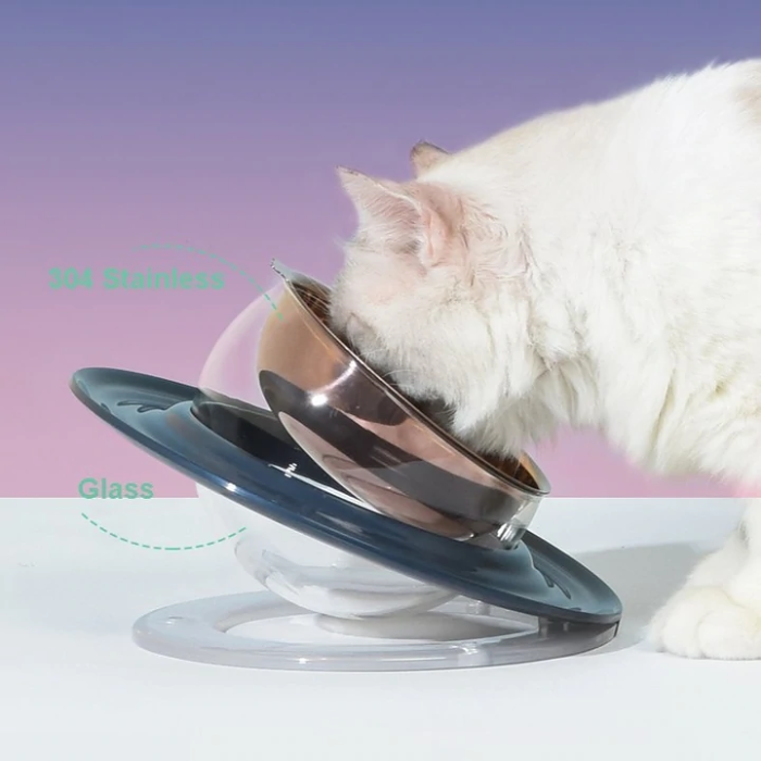 Planet Shaped Cat Bowl