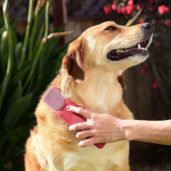 Hair Removal Grooming Massage Brush - For Sensitive Cats and Dogs