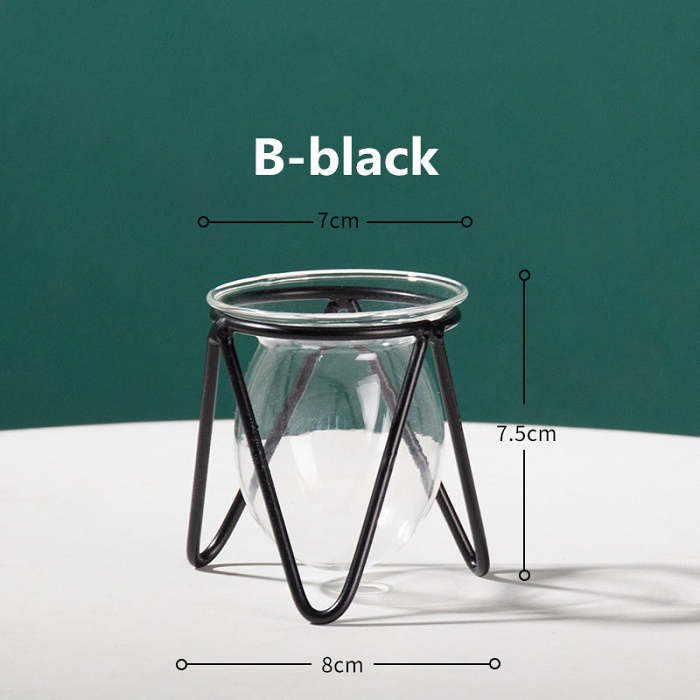 Transparent Glass Vase