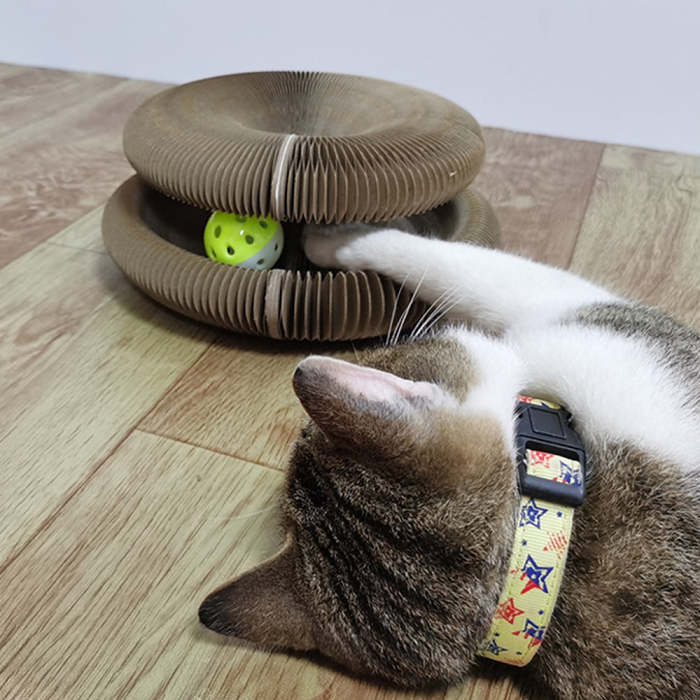 Fun Organ Cat Scratching Board Toy