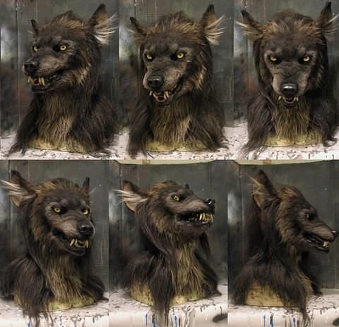 Detachable Costume Mask and Animal Helmet