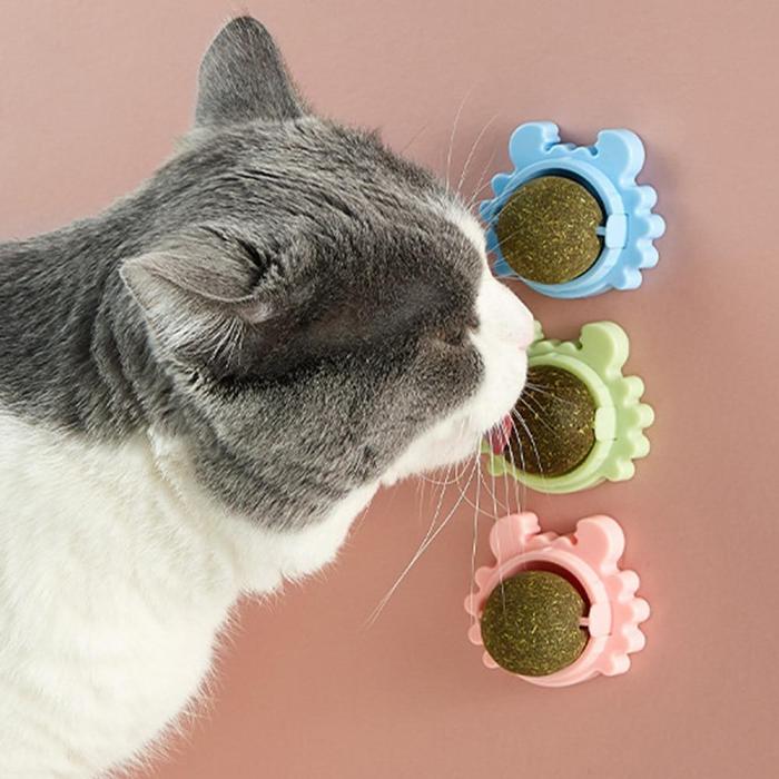 Catnip Ball Cat Toys（BUY 1 GET 1）