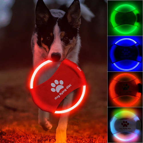 LED dog flying disc.