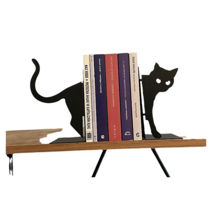 New Indoor Bookshelf Decor.