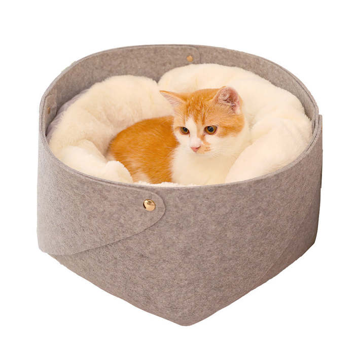 Cat Litter