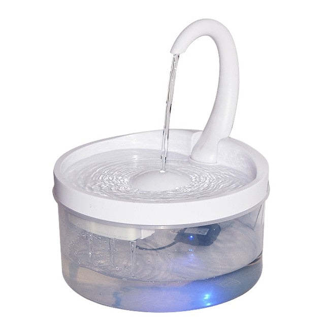Cat Drinking Fountain