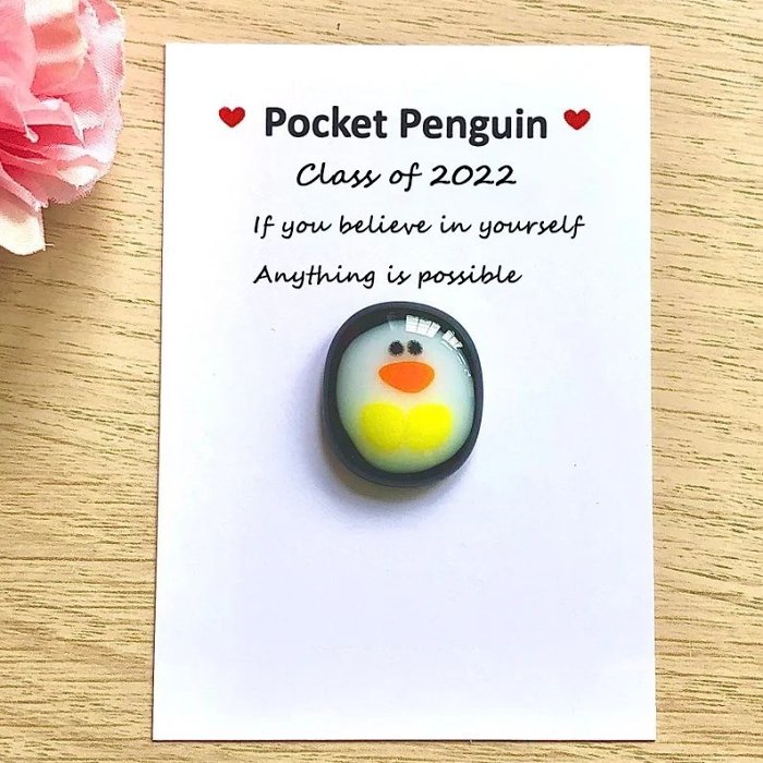 A Little Pocket Penguin Hug