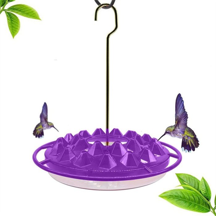 Hummingbird Feeder With Perch