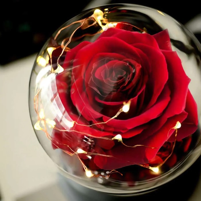 Beauty and Beast Rose Forever Flower