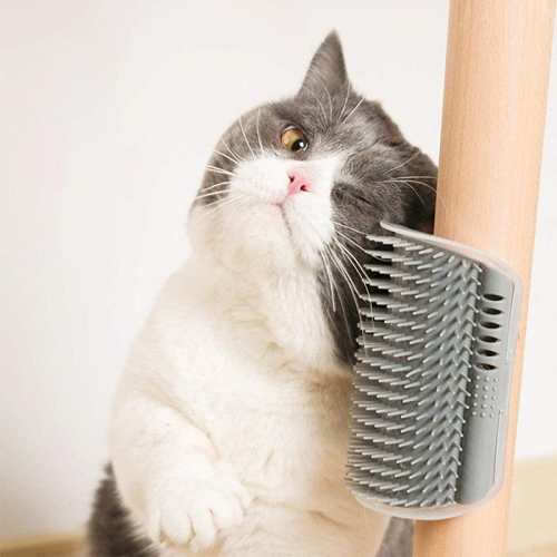 Cat Corner Self Groomer