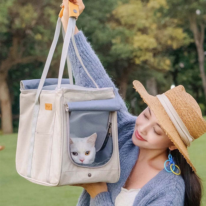 Walk Pet Carrier Tote Bag