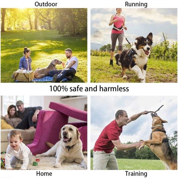 Anti Dog Barking Training Device