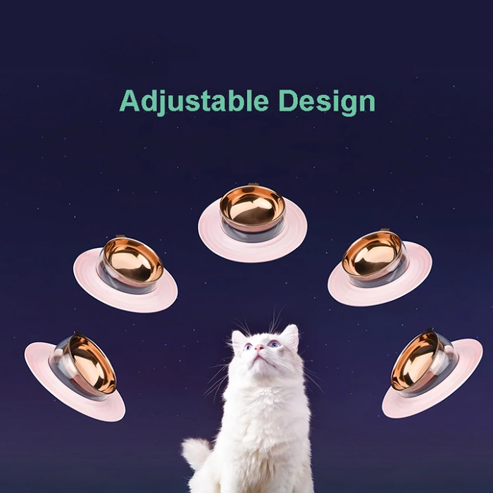 Planet Shaped Cat Bowl