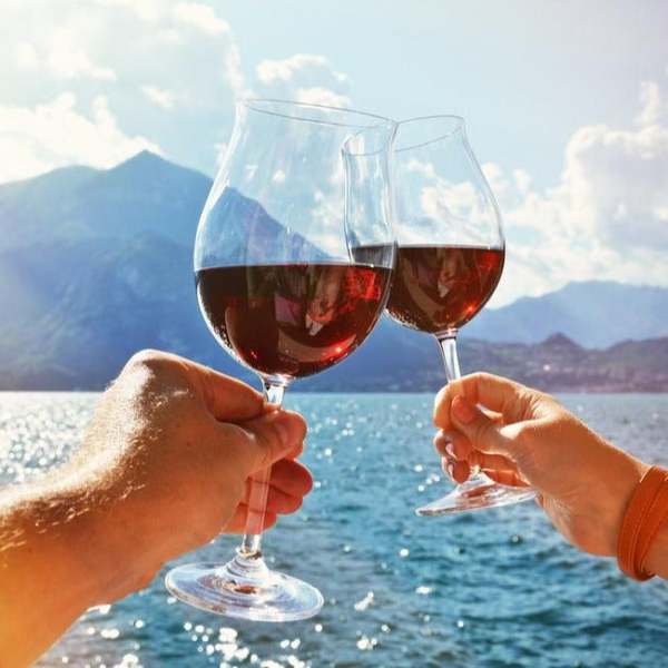 Smart Electric Wine Aerator Decanter