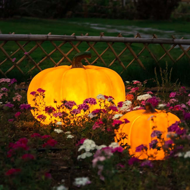 Outdoor solar pumpkin lights