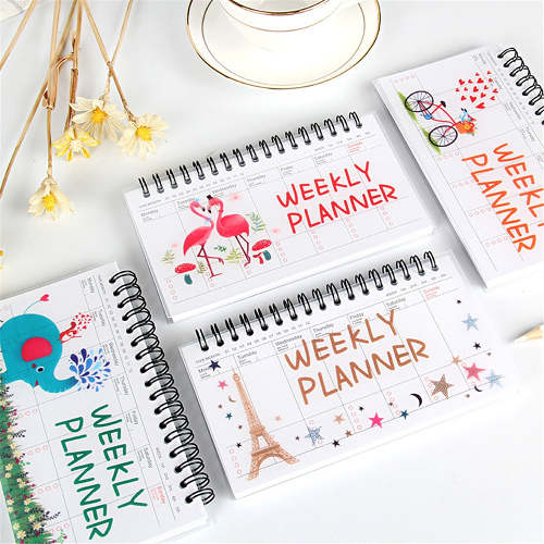 Cute Transparent Illustrated Weekly Planner Diary Journal