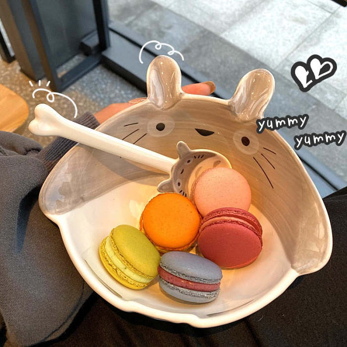 Cute Japanese Style Totoro  Pattern Ceramic Bowl