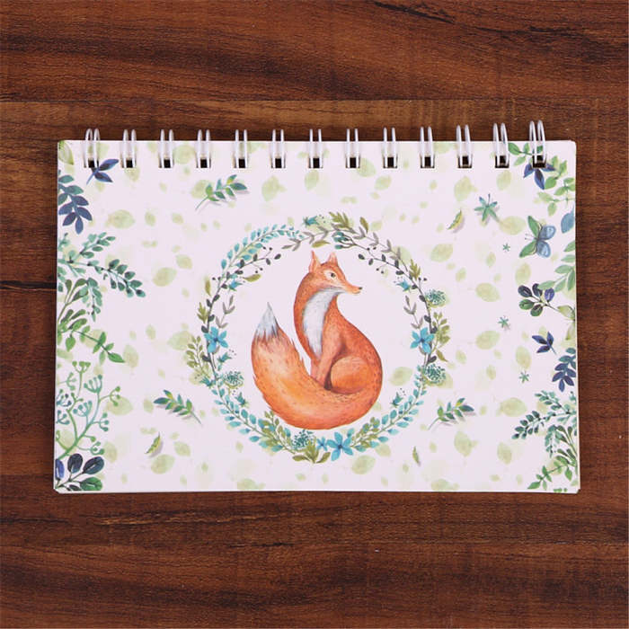 Cute Transparent Illustrated Weekly Planner Diary Journal