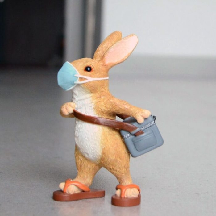 Pet in Mask Figure