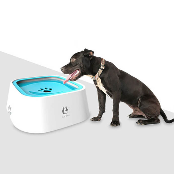 Smart Water Bowl