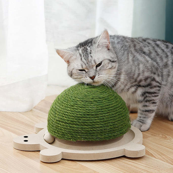 Pet Scratcher Turtle