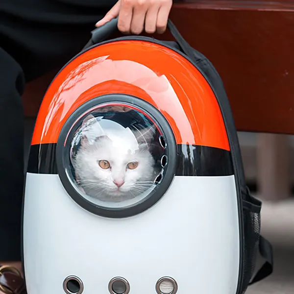 Pawkemon Carrier
