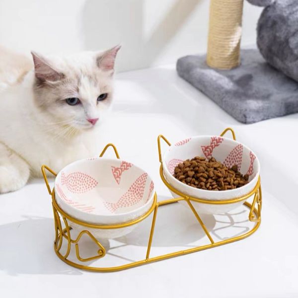 Double Cat Bowl
