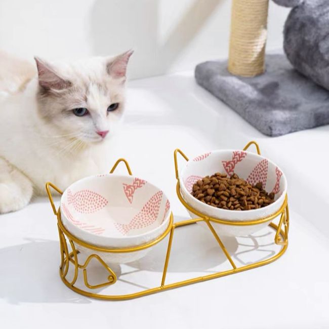 Double Cat Bowl