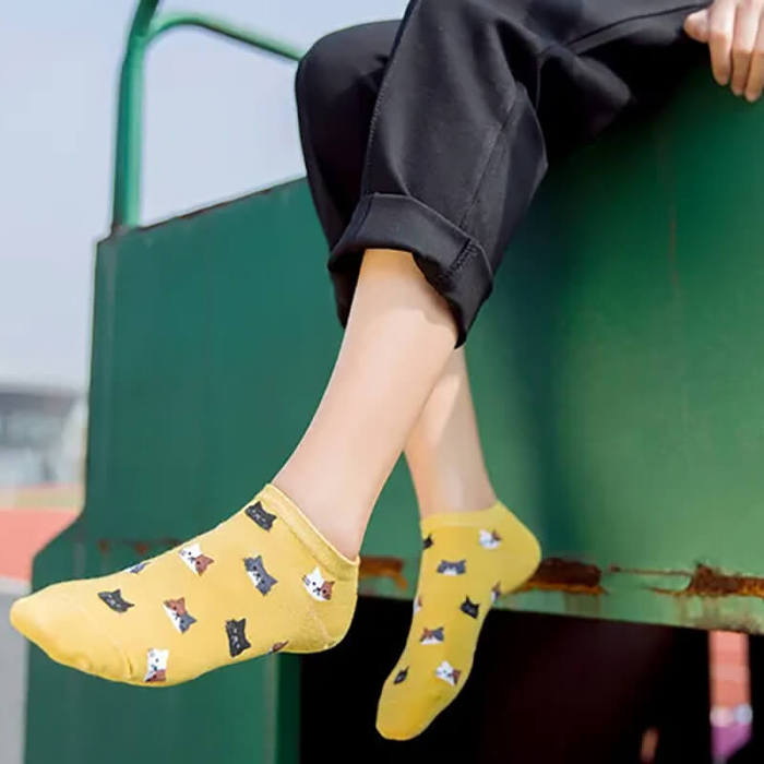Little Cat Face Socks Set