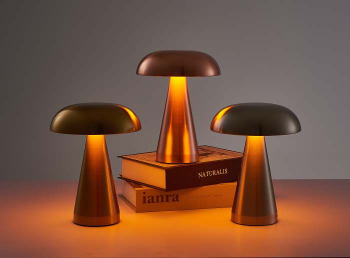 Whimsical Charm LED Table Lamp