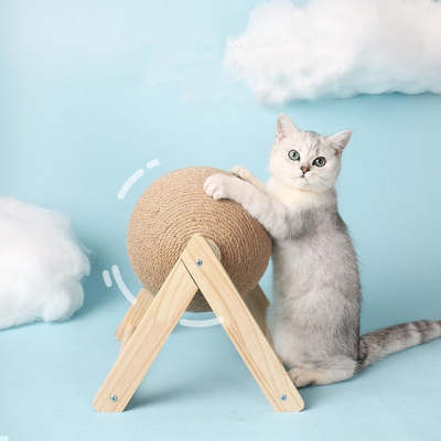 Pet Scratching Ball