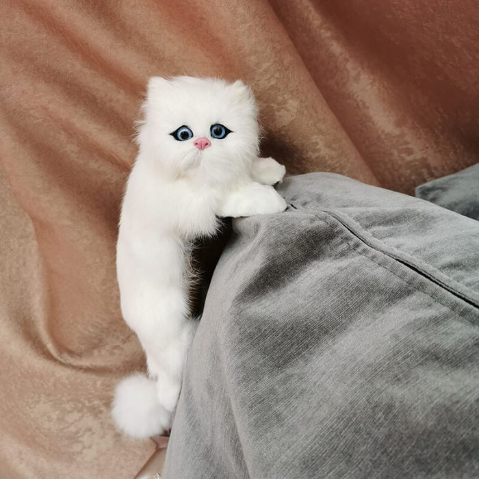 Realistic Cat Decoration